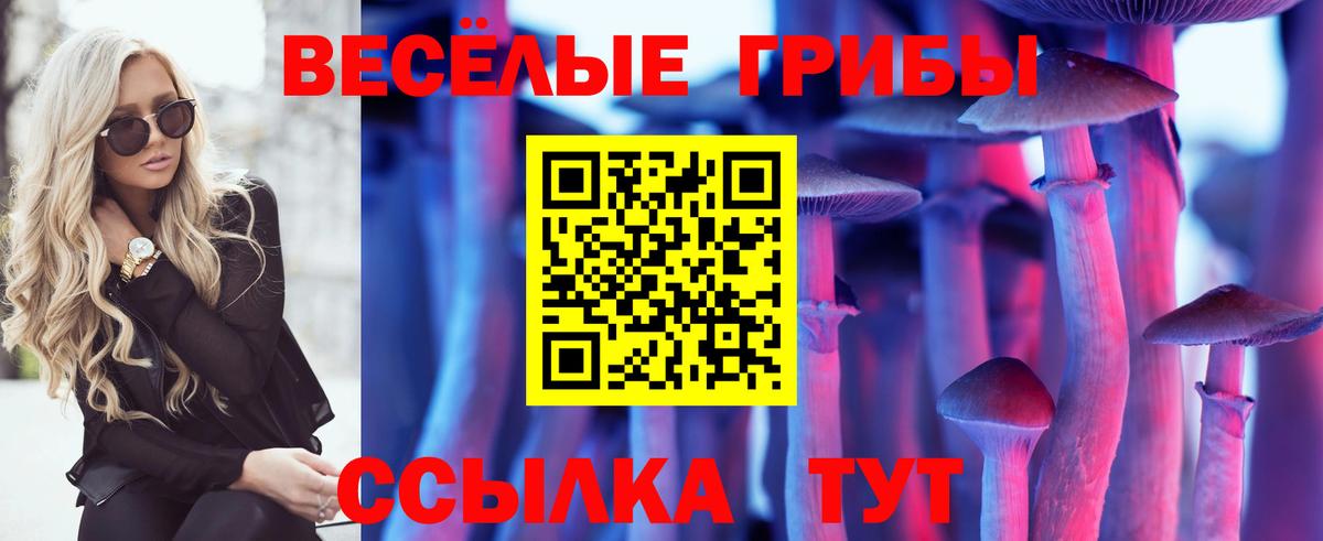 Псилоцибиновые грибы MAGIC MUSHROOMS  купить закладку  Вход с VPN  Вольск  Псилоцибиновые грибы мицелий 